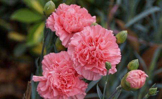 1602148808617615.jpeg cd3c8c60770e4c62887872f2b7b63079.jpeg